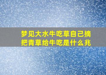 梦见大水牛吃草自己摘把青草给牛吃是什么兆