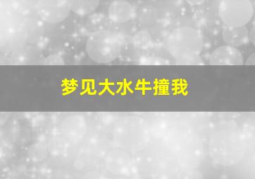 梦见大水牛撞我