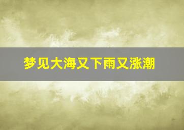 梦见大海又下雨又涨潮