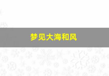 梦见大海和风