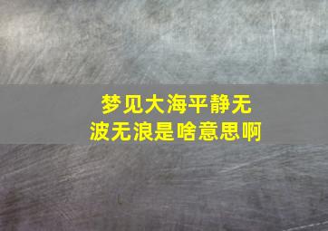 梦见大海平静无波无浪是啥意思啊