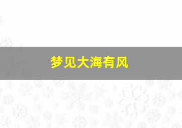 梦见大海有风