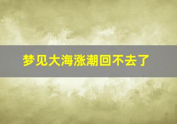 梦见大海涨潮回不去了