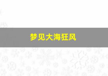 梦见大海狂风