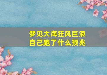 梦见大海狂风巨浪自己跑了什么预兆