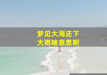 梦见大海还下大雨啥意思啊