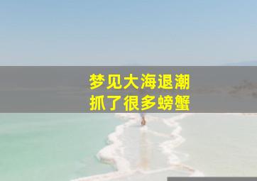 梦见大海退潮抓了很多螃蟹