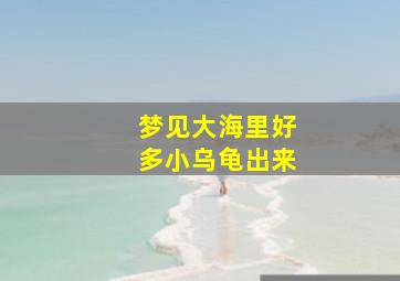 梦见大海里好多小乌龟出来