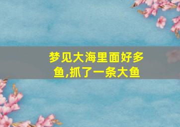 梦见大海里面好多鱼,抓了一条大鱼