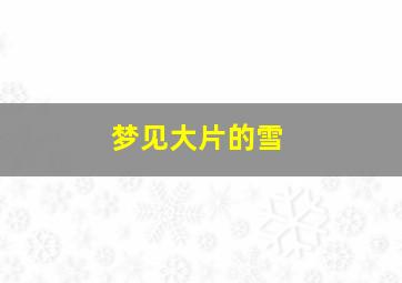 梦见大片的雪