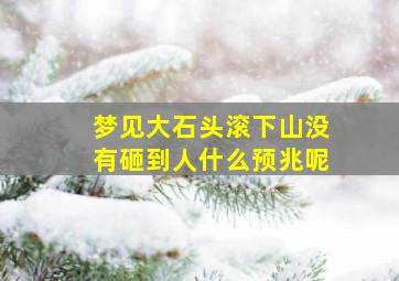 梦见大石头滚下山没有砸到人什么预兆呢