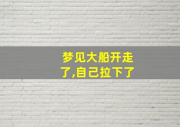 梦见大船开走了,自己拉下了