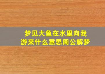 梦见大鱼在水里向我游来什么意思周公解梦