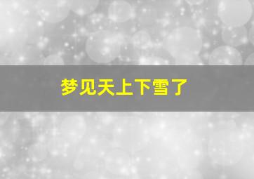 梦见天上下雪了