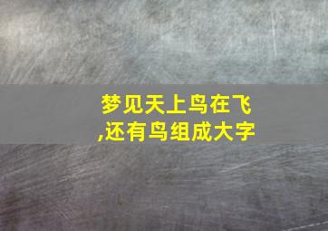 梦见天上鸟在飞,还有鸟组成大字