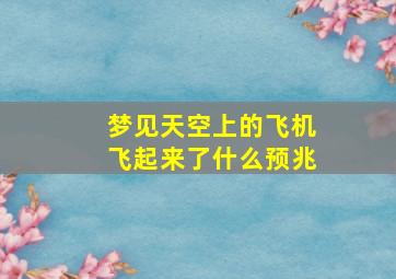 梦见天空上的飞机飞起来了什么预兆