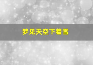 梦见天空下着雪