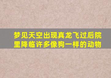 梦见天空出现真龙飞过后院里降临许多像狗一样的动物