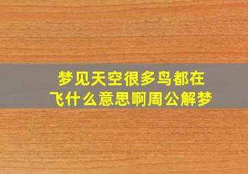 梦见天空很多鸟都在飞什么意思啊周公解梦