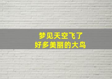 梦见天空飞了好多美丽的大鸟