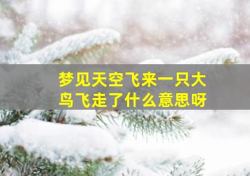 梦见天空飞来一只大鸟飞走了什么意思呀