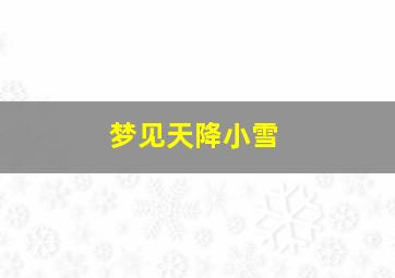 梦见天降小雪