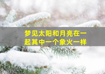 梦见太阳和月亮在一起其中一个象火一样