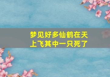 梦见好多仙鹤在天上飞其中一只死了