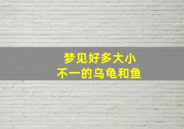 梦见好多大小不一的乌龟和鱼