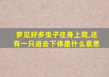 梦见好多虫子往身上爬,还有一只进去下体是什么意思