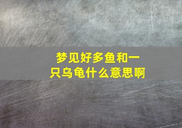 梦见好多鱼和一只乌龟什么意思啊