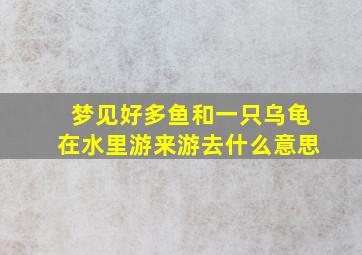 梦见好多鱼和一只乌龟在水里游来游去什么意思