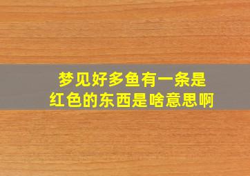 梦见好多鱼有一条是红色的东西是啥意思啊