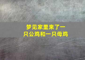 梦见家里来了一只公鸡和一只母鸡