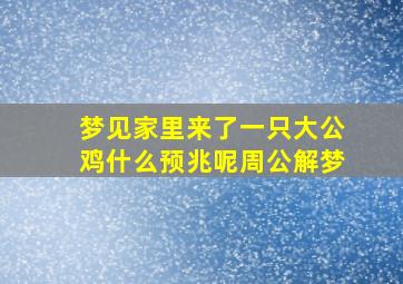 梦见家里来了一只大公鸡什么预兆呢周公解梦