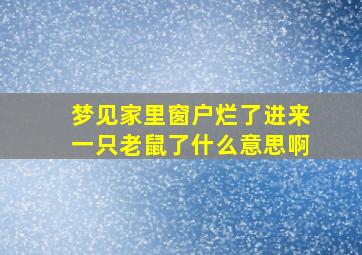 梦见家里窗户烂了进来一只老鼠了什么意思啊