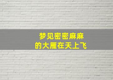 梦见密密麻麻的大雁在天上飞