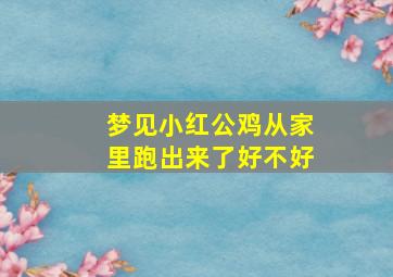 梦见小红公鸡从家里跑出来了好不好