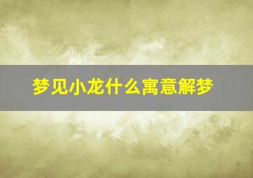 梦见小龙什么寓意解梦