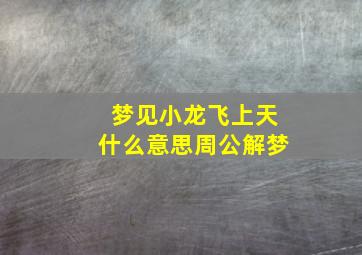 梦见小龙飞上天什么意思周公解梦