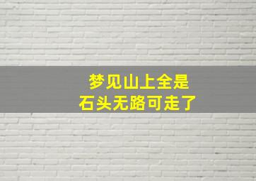 梦见山上全是石头无路可走了