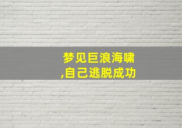 梦见巨浪海啸,自己逃脱成功