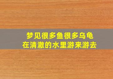 梦见很多鱼很多乌龟在清澈的水里游来游去