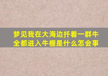 梦见我在大海边扦着一群牛全都进入牛棚是什么怎会事