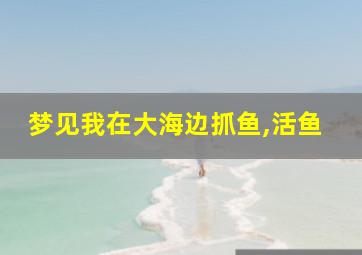 梦见我在大海边抓鱼,活鱼