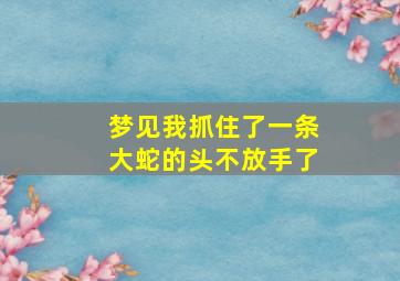 梦见我抓住了一条大蛇的头不放手了