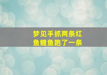 梦见手抓两条红鱼鲤鱼跑了一条