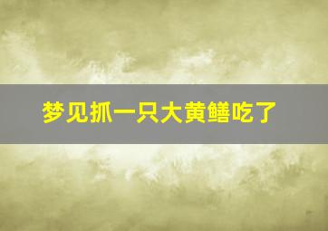 梦见抓一只大黄鳝吃了