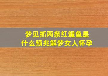 梦见抓两条红鲤鱼是什么预兆解梦女人怀孕