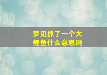 梦见抓了一个大鲤鱼什么意思啊